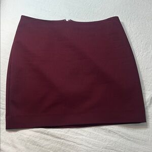 Express Deep Burgundy Mini Skirt